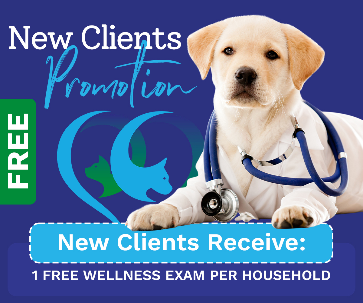 New clients receive 1 free wellness exam per household.