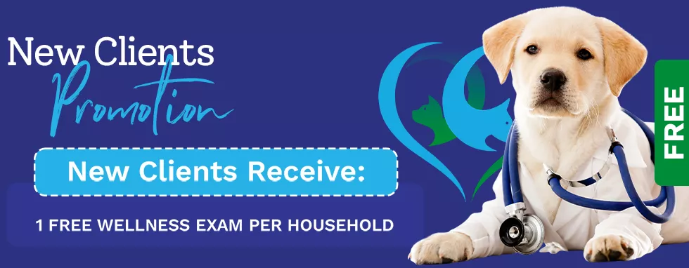New clients receive 1 free wellness exam per household.